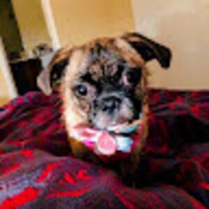 Meet your Posher, S.